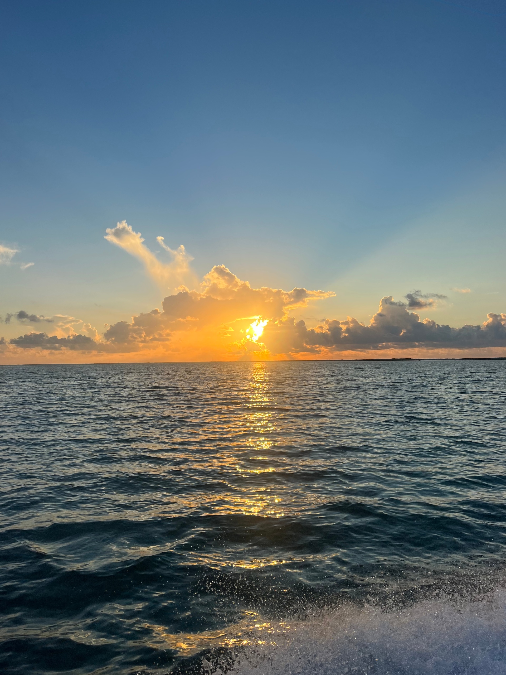 Everglades & The Florida Bay Eco Scenic Tour — Islamorada