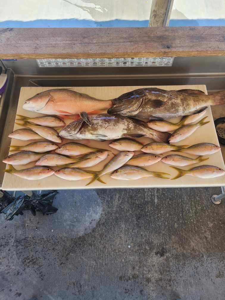 Reef Fishing — Marathon