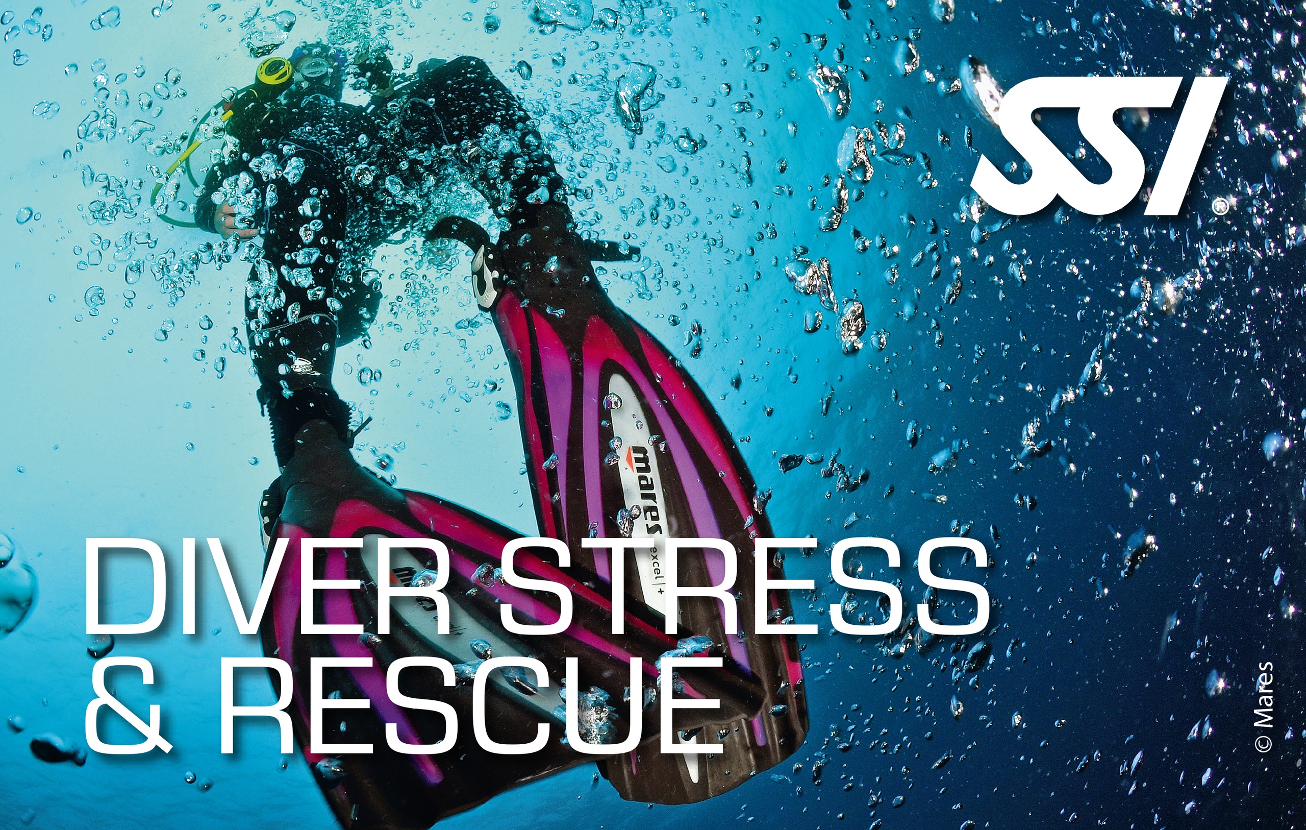 Diver Stress & Rescue — Big Pine Key