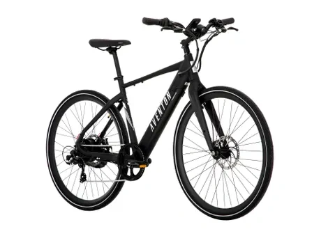 Standard E-Bike (Large Size)