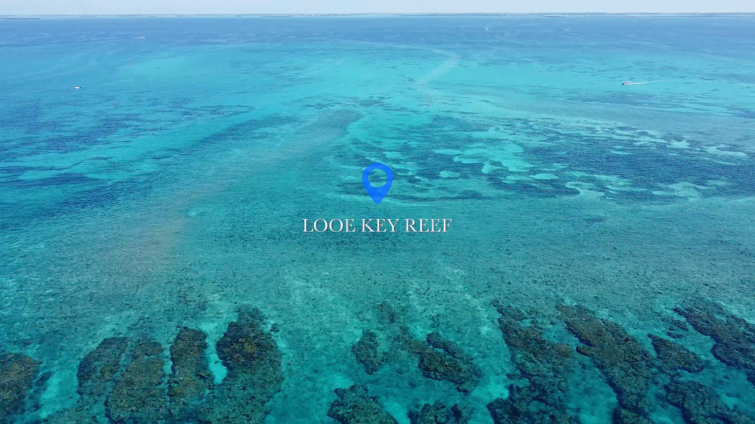 SNUBA - Looe Key 5 to 6hr Diving & Sandbar Charter