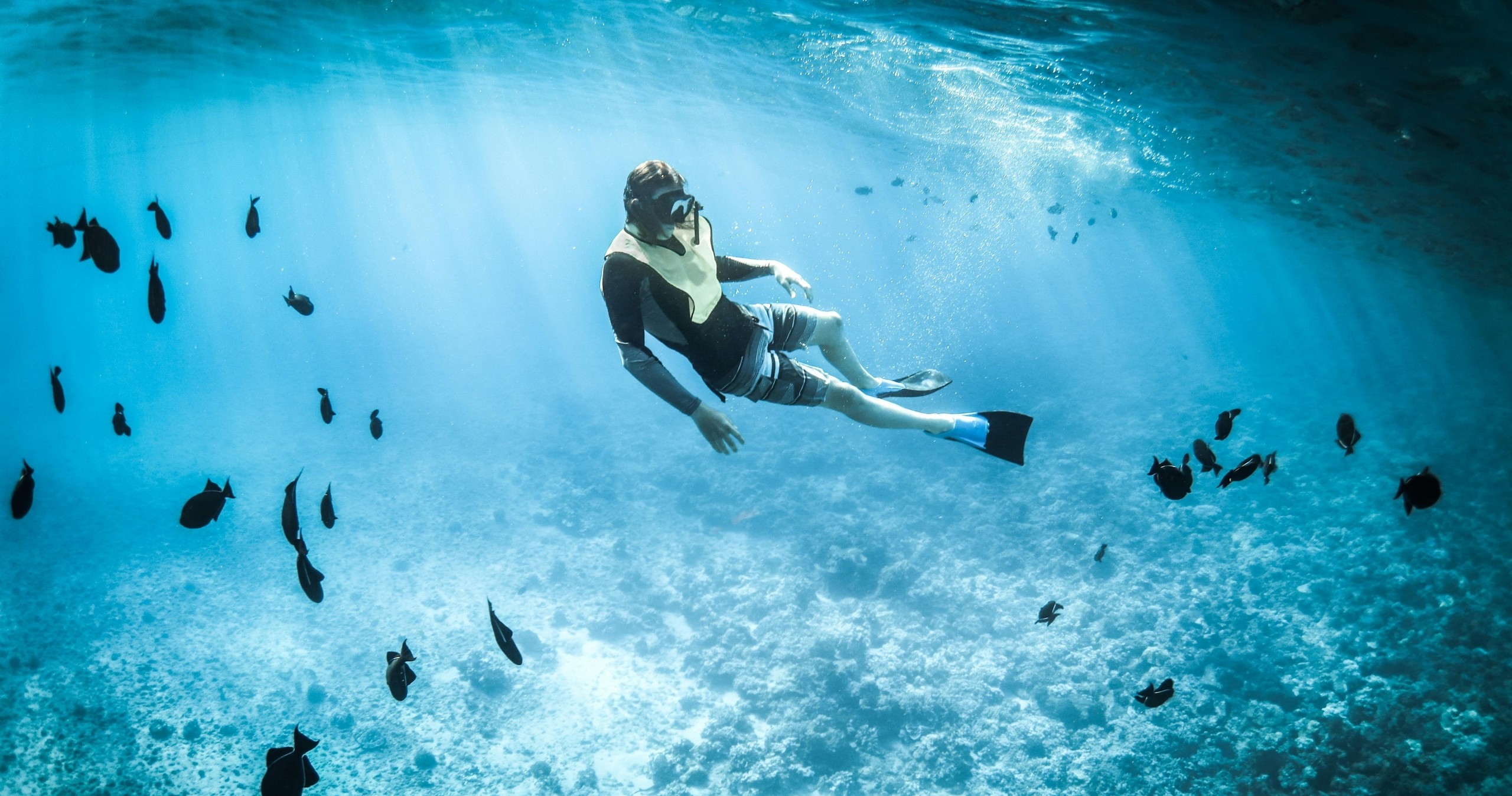 Sea Fox 4 Hour Snorkel Excursion — Stock Island
