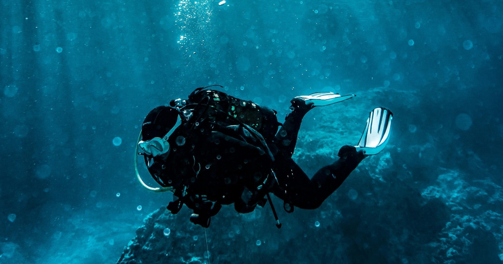 Angler 4 Hour Dive — Stock Island