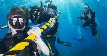 Reef Dive or Snorkel — Key Largo