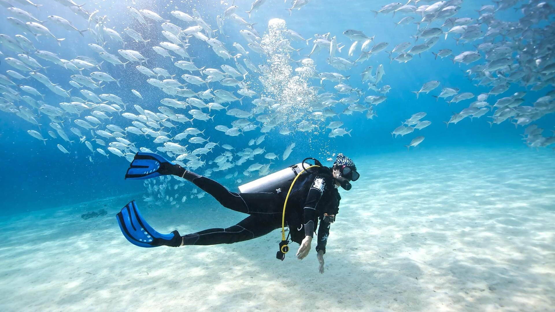 SCUBA Skills Update — Key Largo