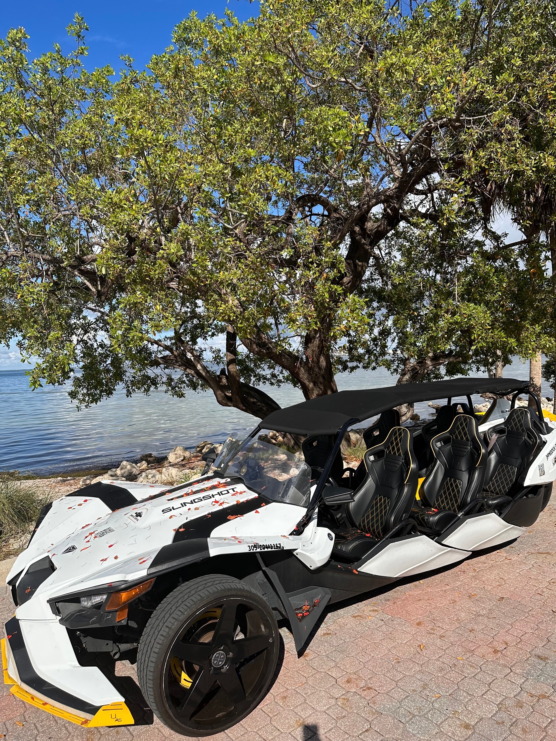 6 Seaters slingshot polaris — North Miami Beach