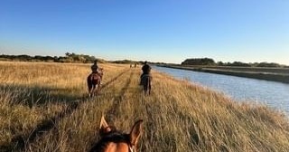 Horse Trail Ride — Miami