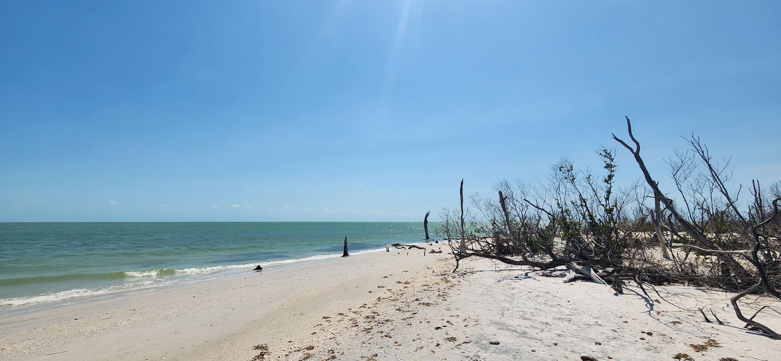Island Tour — Cape Coral