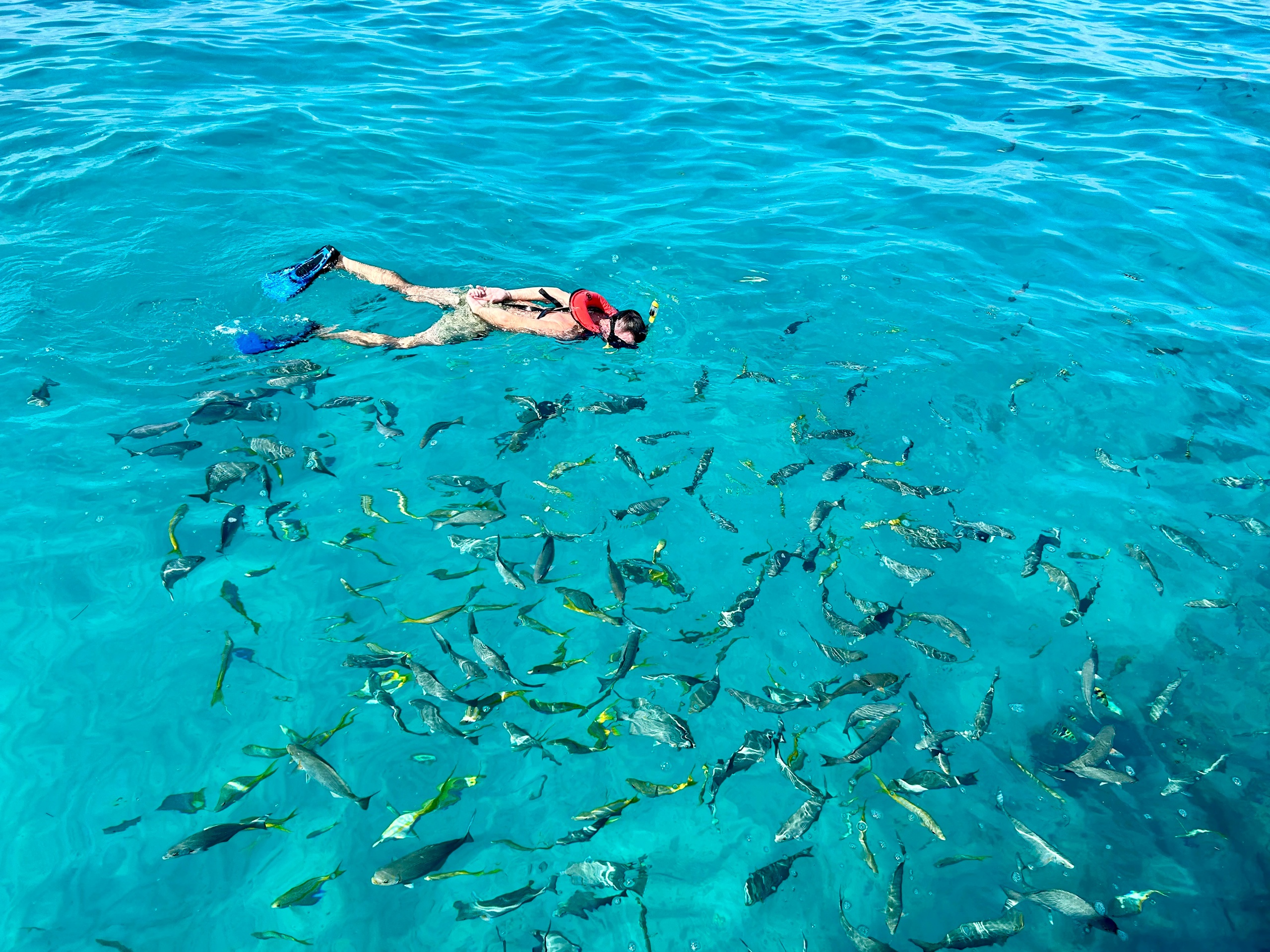 Private Sombrero Reef Snorkel & Island Escape — Marathon
