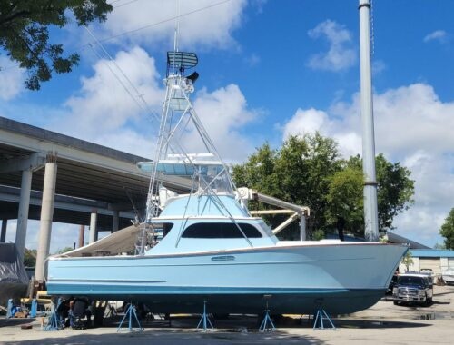 Full Day Charter — Islamorada