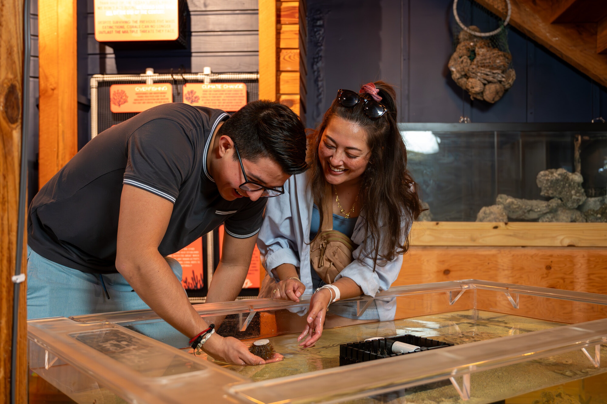 Explorashoreum Admission — Islamorada