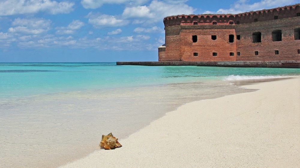 Dry Tortugas Public Trip — Key West