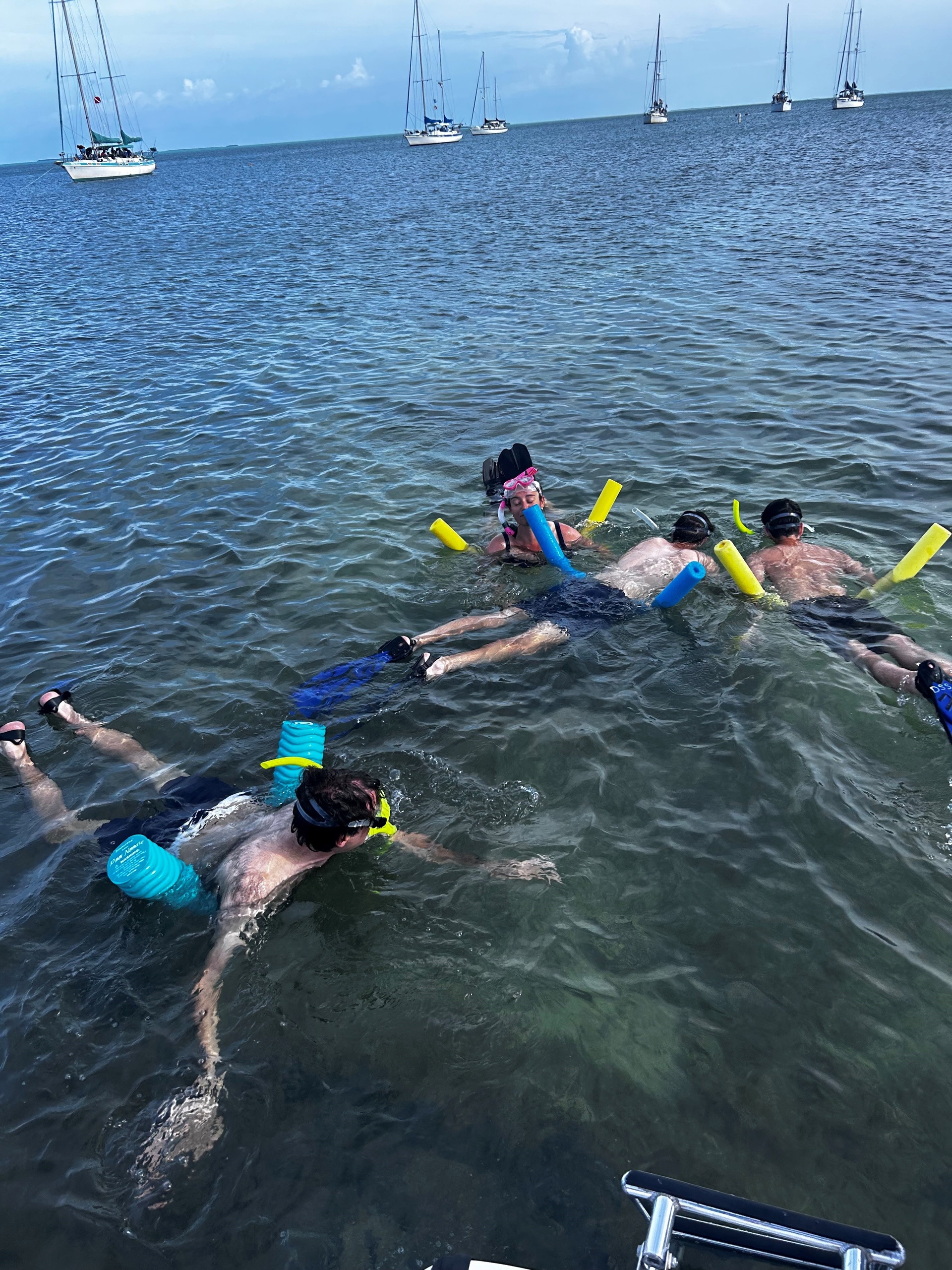 3 Hr. Private Charter Trip / Snorkel or Sandbar - Pick One or both! 1-3 Persons $420.00 or 4-6 Persons $475.00 — Islamorada