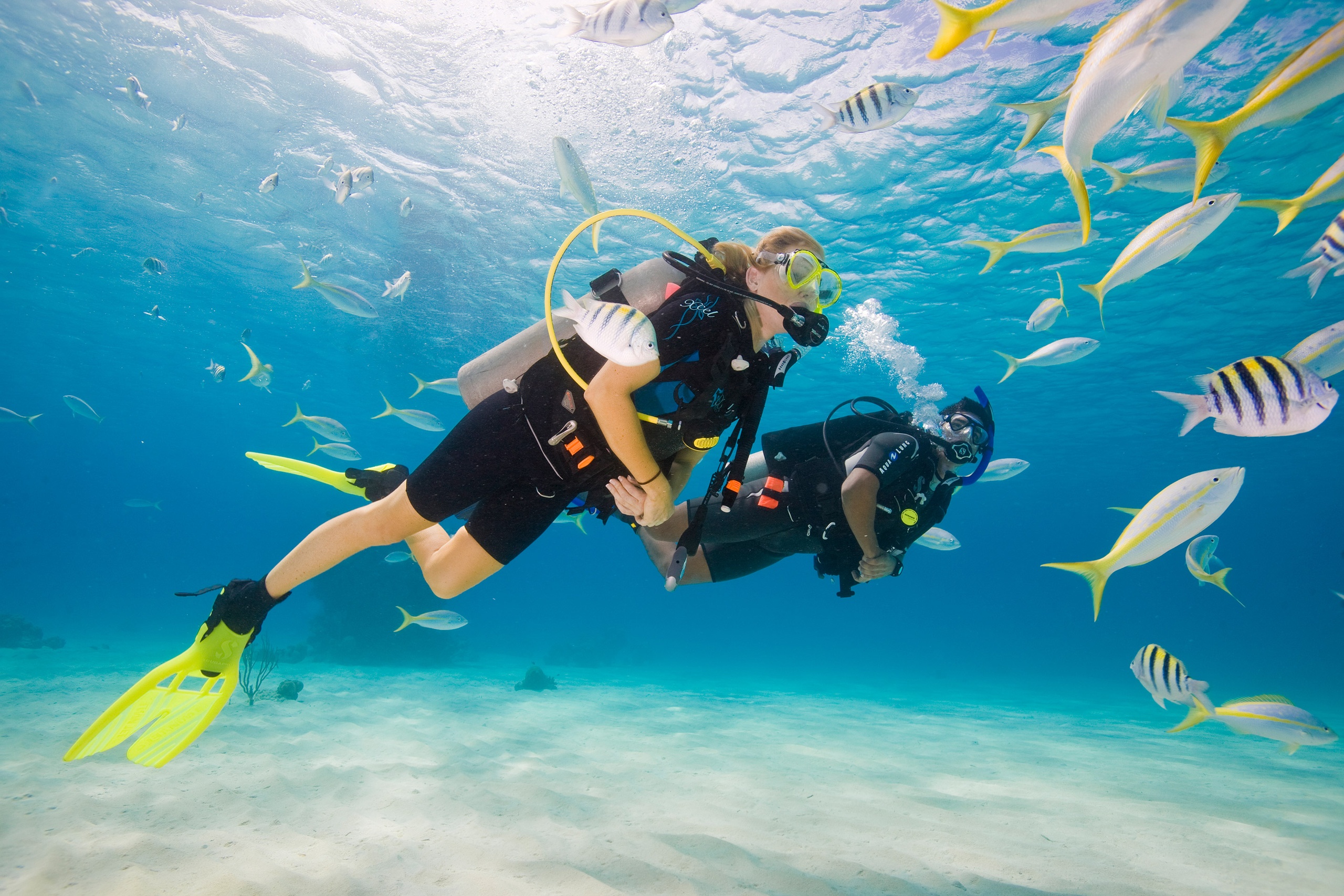 Guided Dive - Key Largo — Key Largo