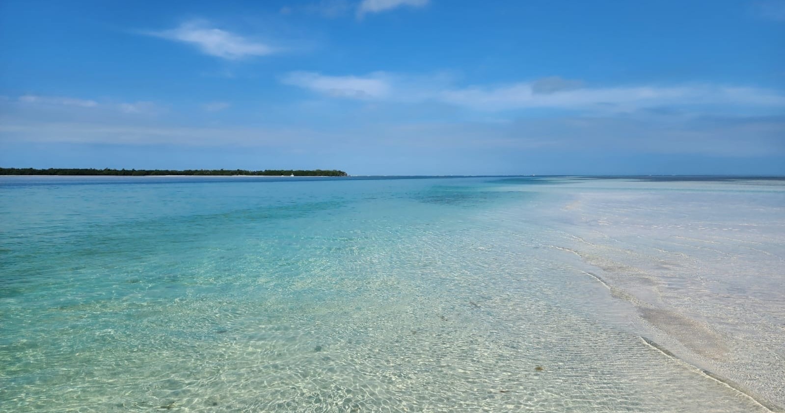Four Hour Sandbar Charter — Key West