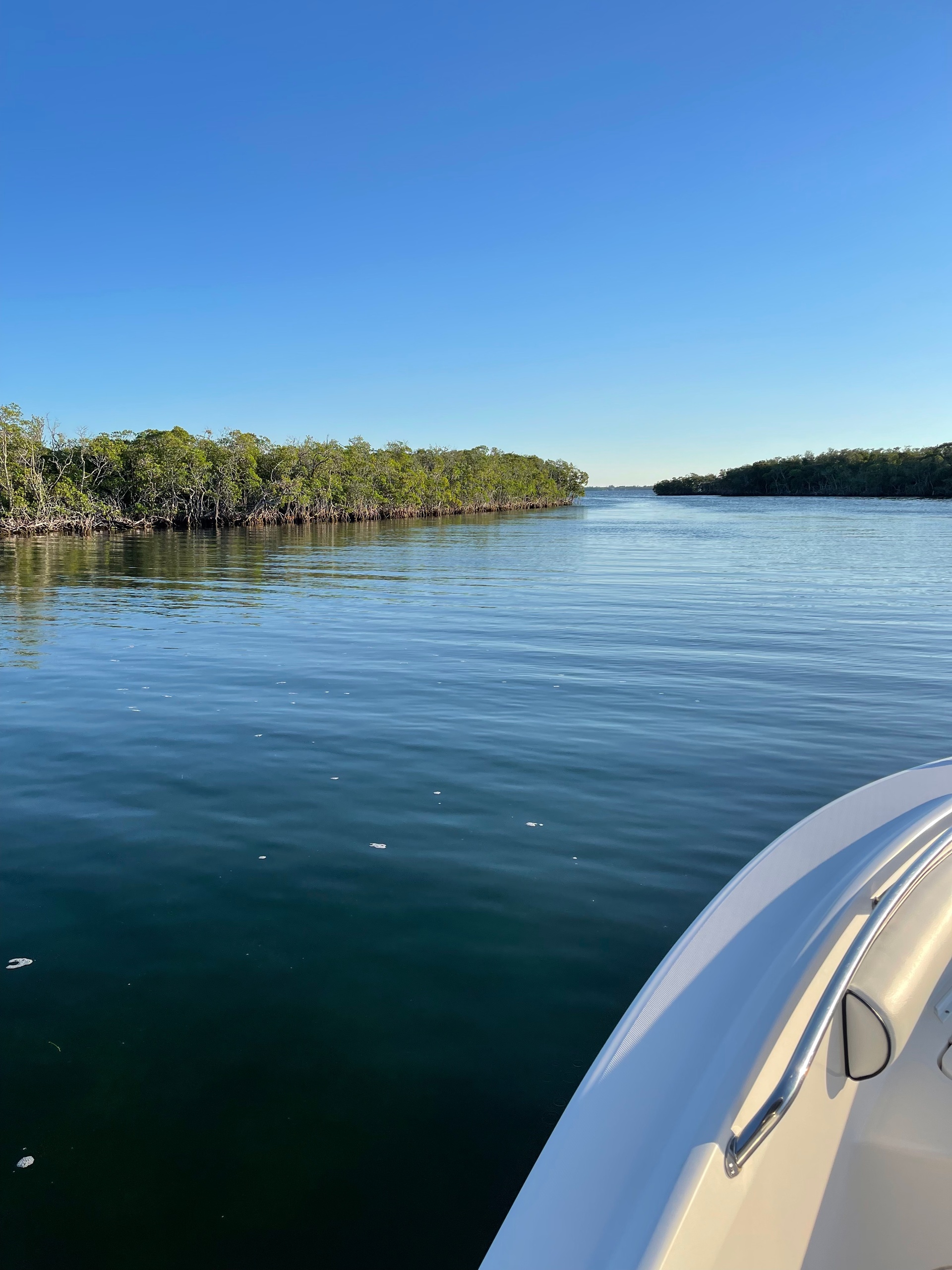 2-Hour Bayside Custom Charter — Key Largo