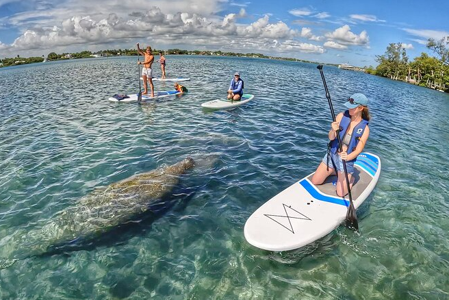 Paddle Boards Fairfield Inn