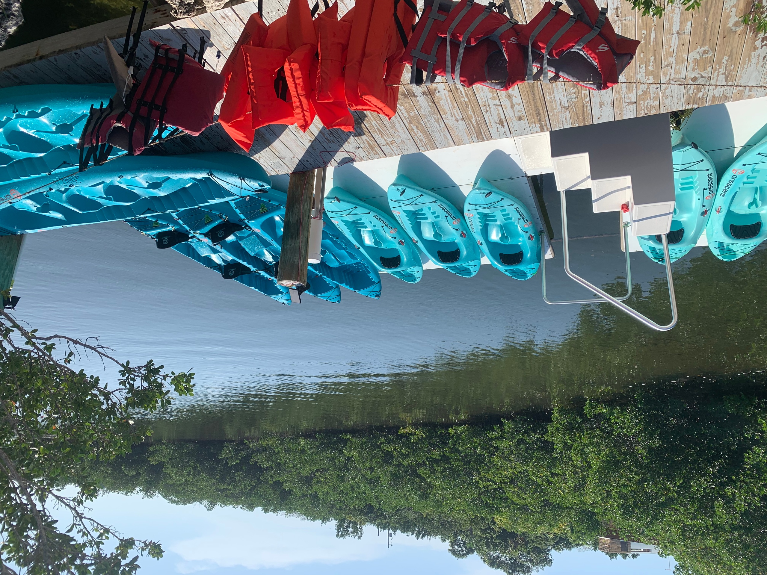 Kayak Rentals - include snorkel gear. If online fully booked- call we may have availability