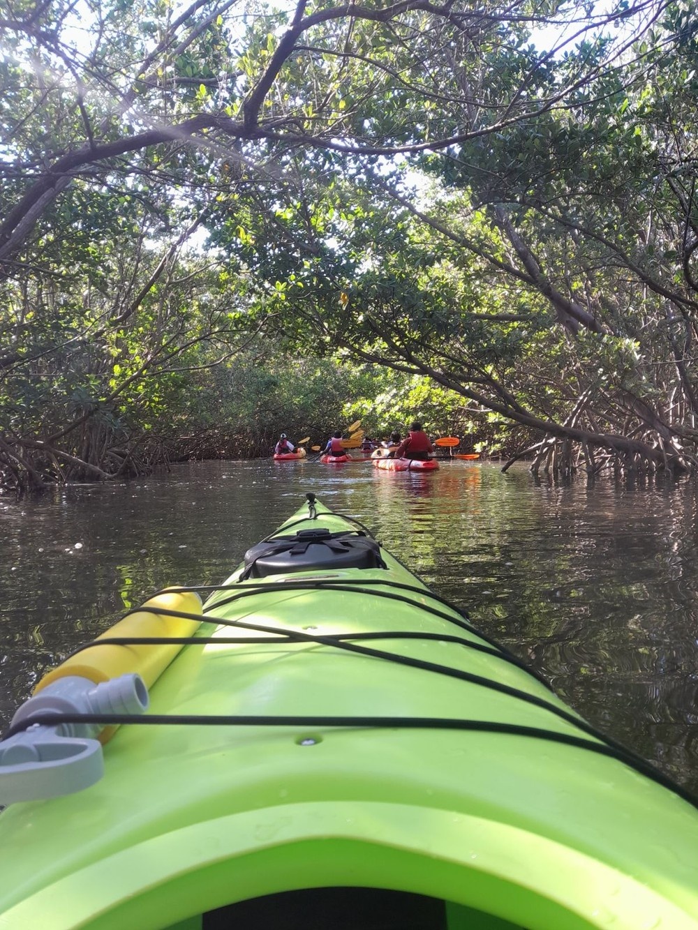 Single Kayak Rental — North Miami Beach