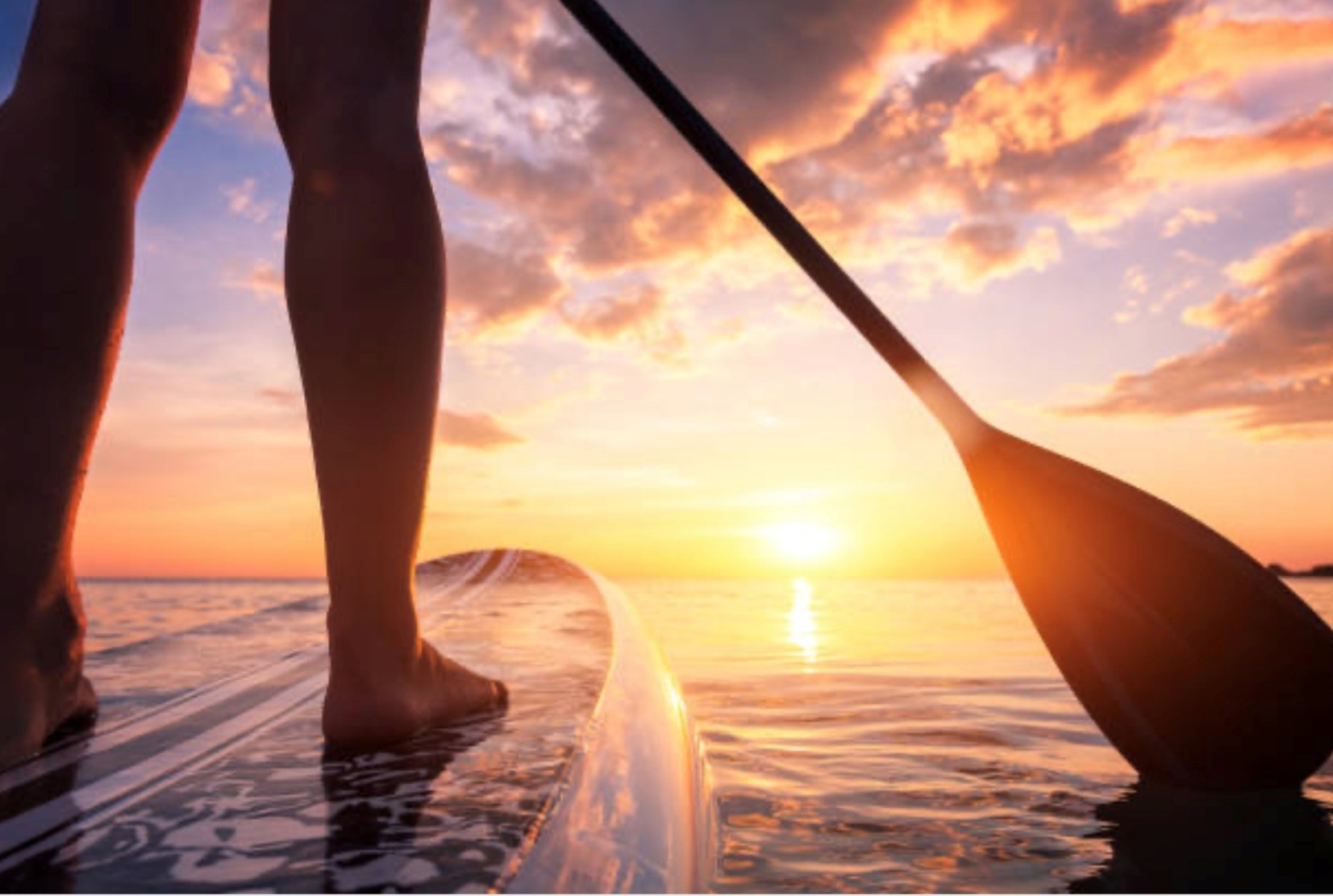 Paddle Board Rental