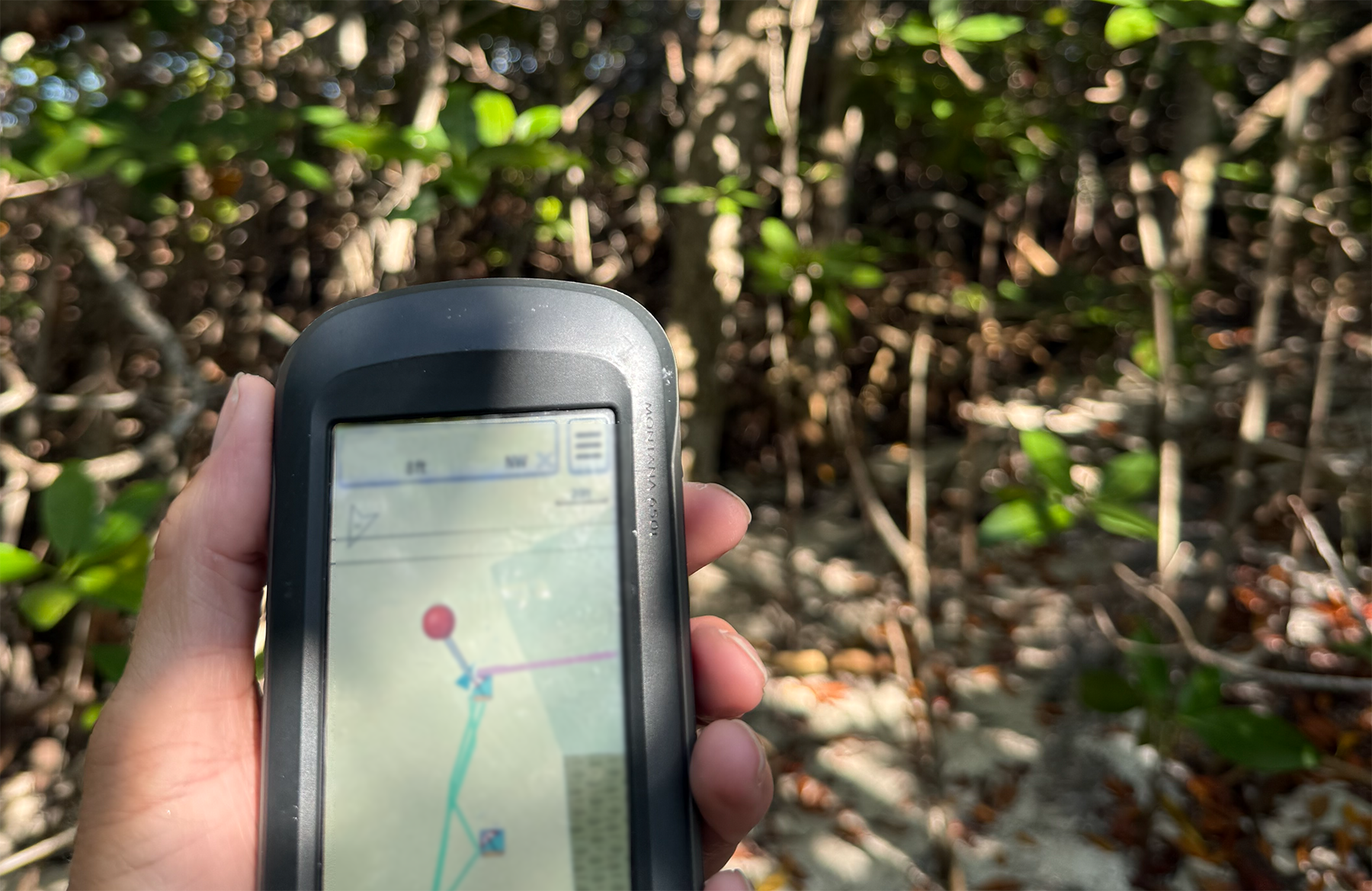 Sandbar & Pirate Treasure Hunt Adventure — Key West