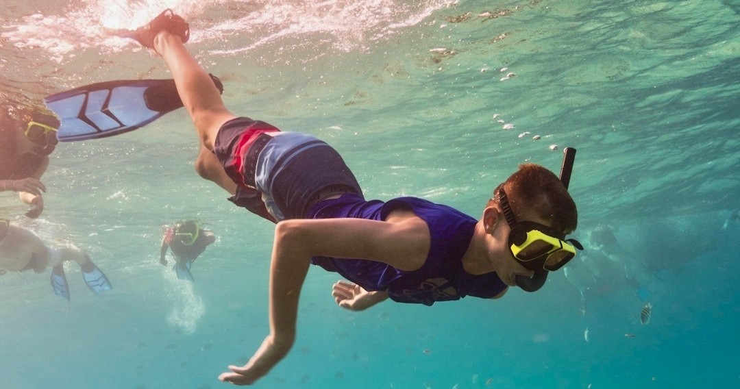 Full Day Snorkel & Sandbar Charter — Key West