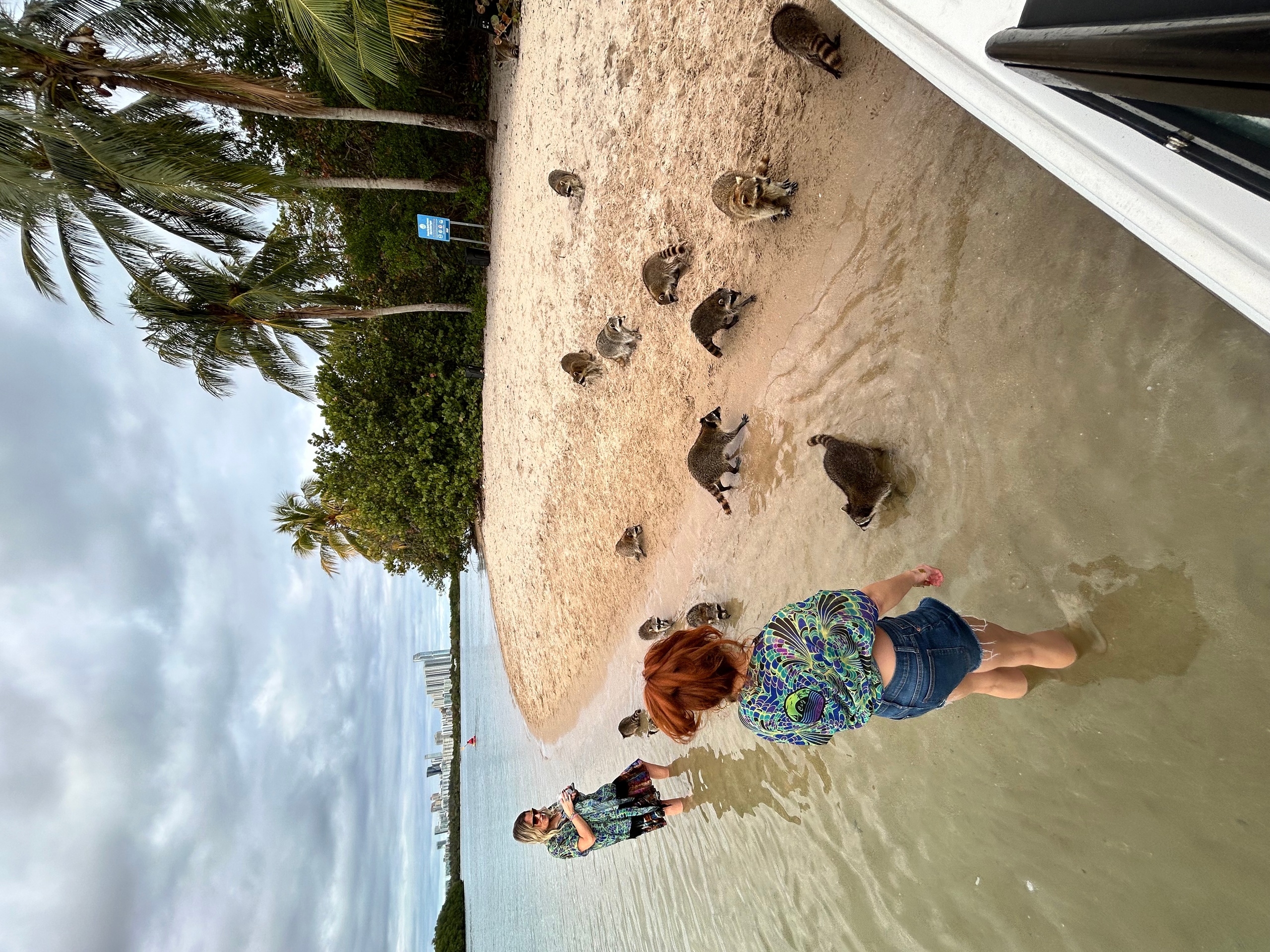 Private Sandpur Raccoon Island Tour — Miami Beach