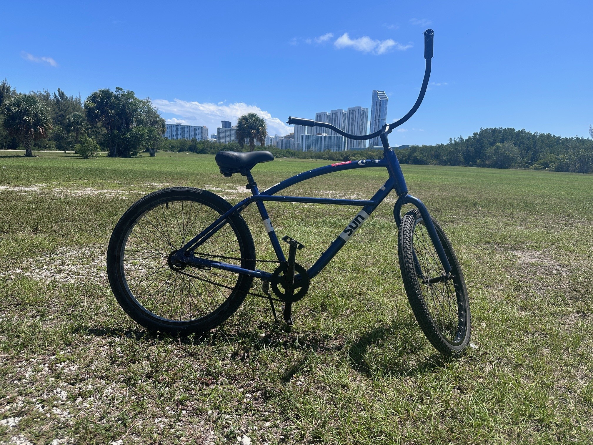 Cruiser Bike Rental