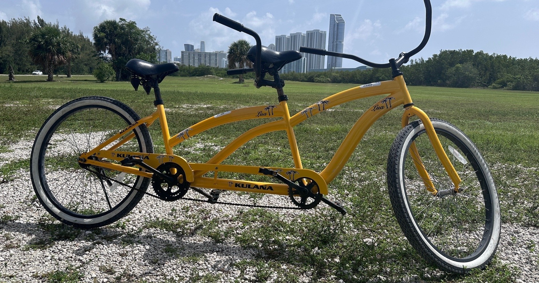 Tandem Cruiser Bike Rental