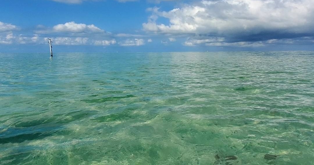 6 Hour Private Charter — Naples