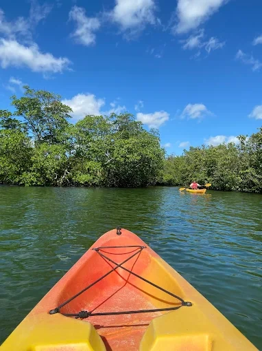 Guided Eco Tour Paddle — North Miami Beach