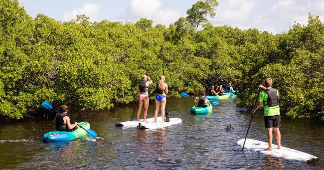 Perry 5 Hour Kayak & SUP Rental — Naples