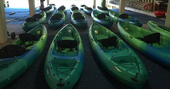 Perry 6 Hour Kayak & SUP Rental — Naples