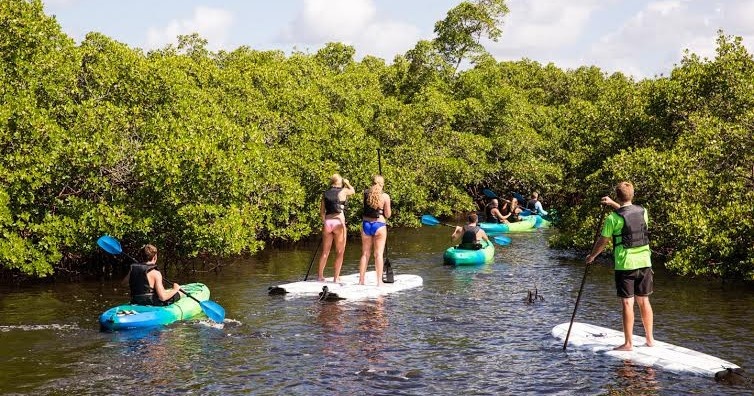 Perry Full Day Kayak & SUP Rental — Naples