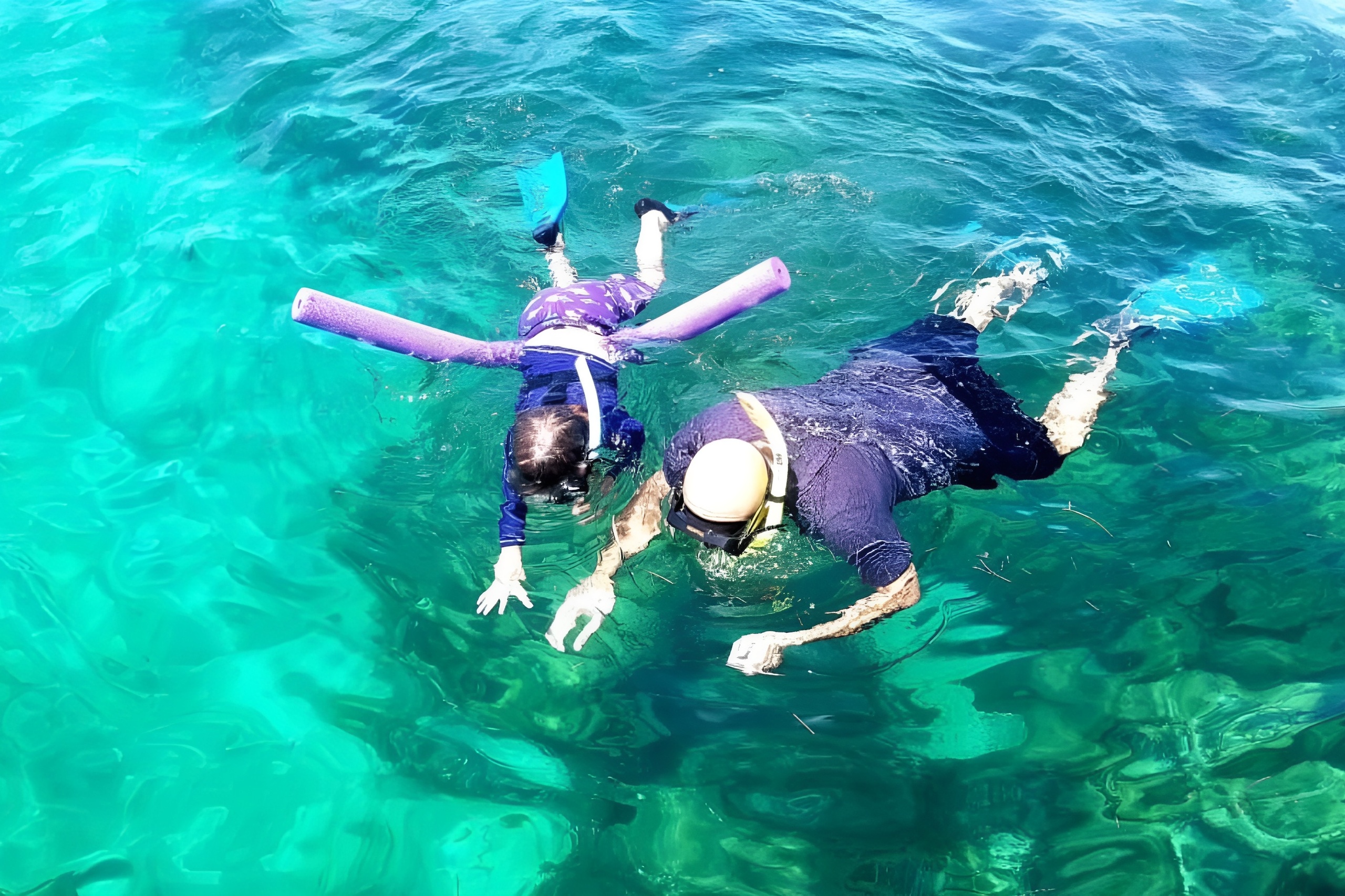 Miami: Snorkeling Adventure off a Secluded Island from South Beach — Miami Beach