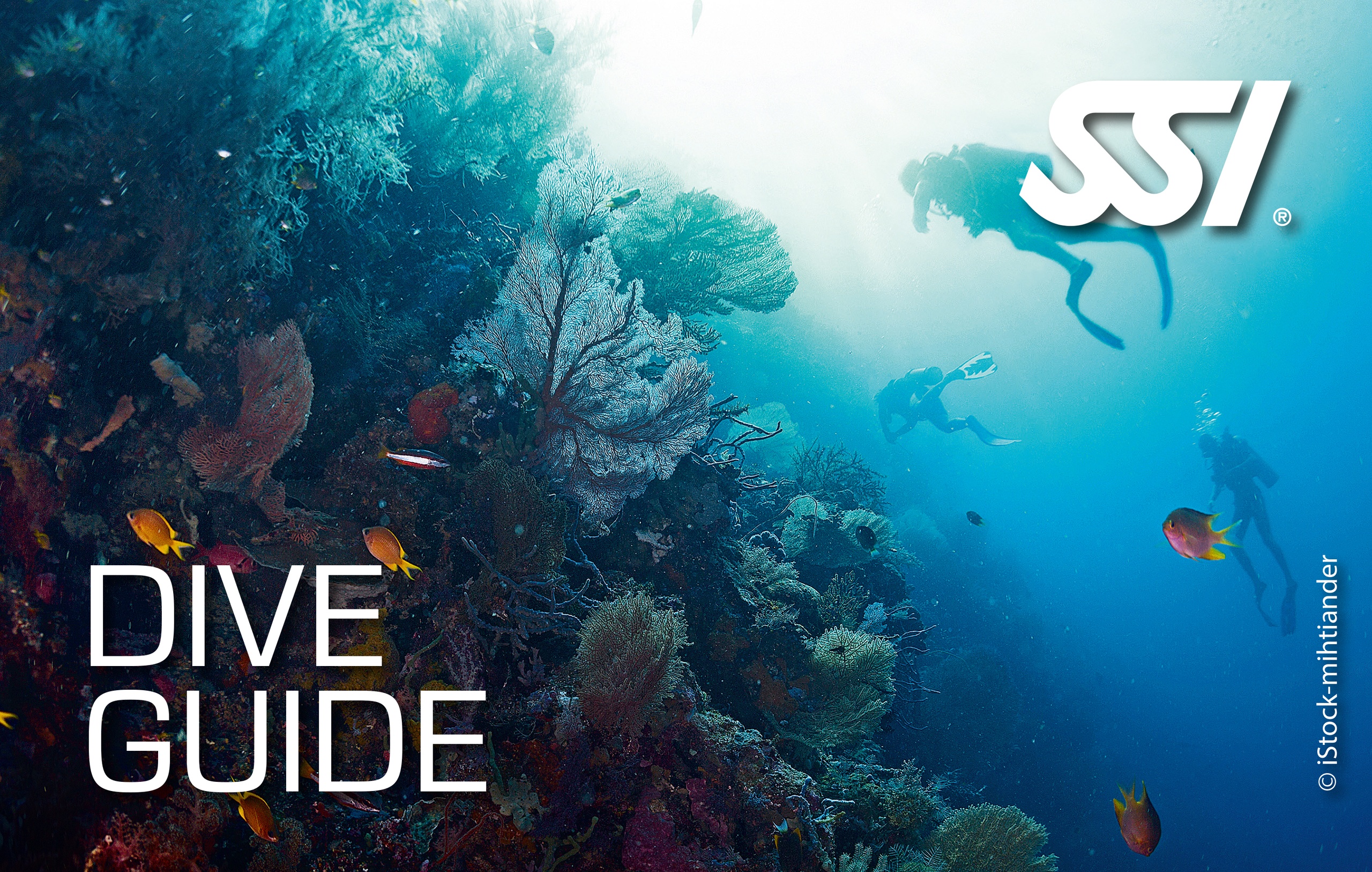 Dive Guide — Big Pine Key