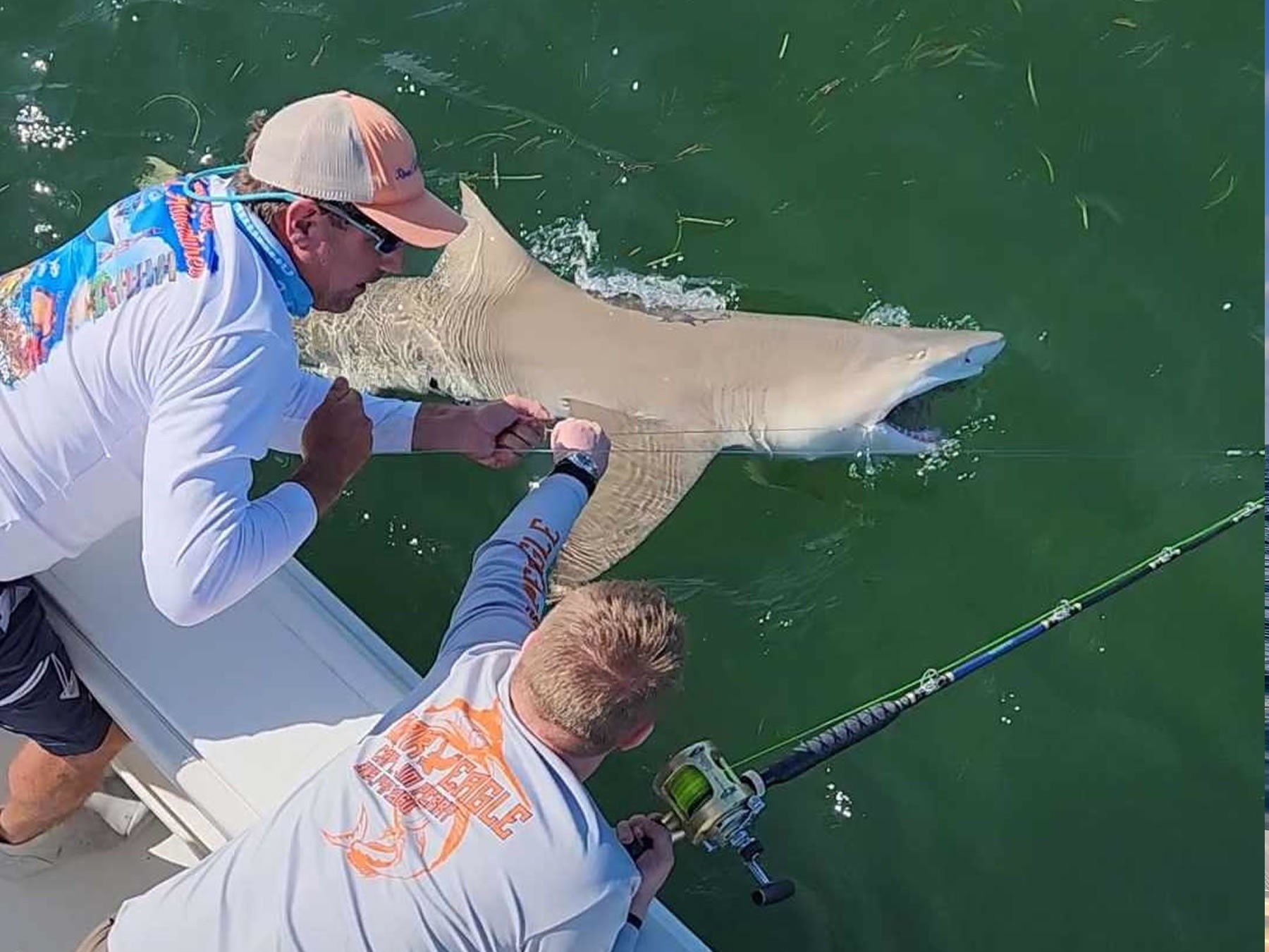 Shark Fishing — Marathon