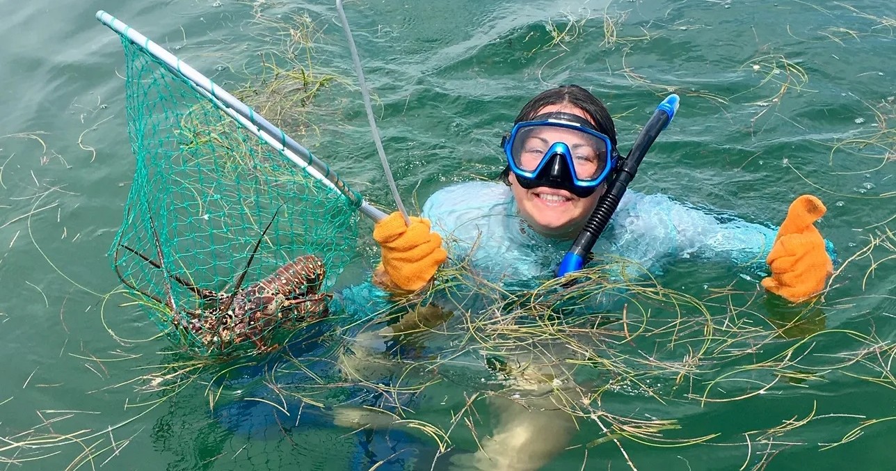 Lobster Diving — Marathon
