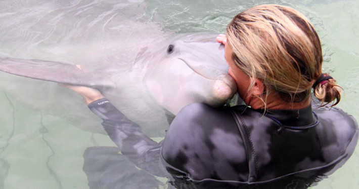 Private Dolphin Life Swim — Key Largo