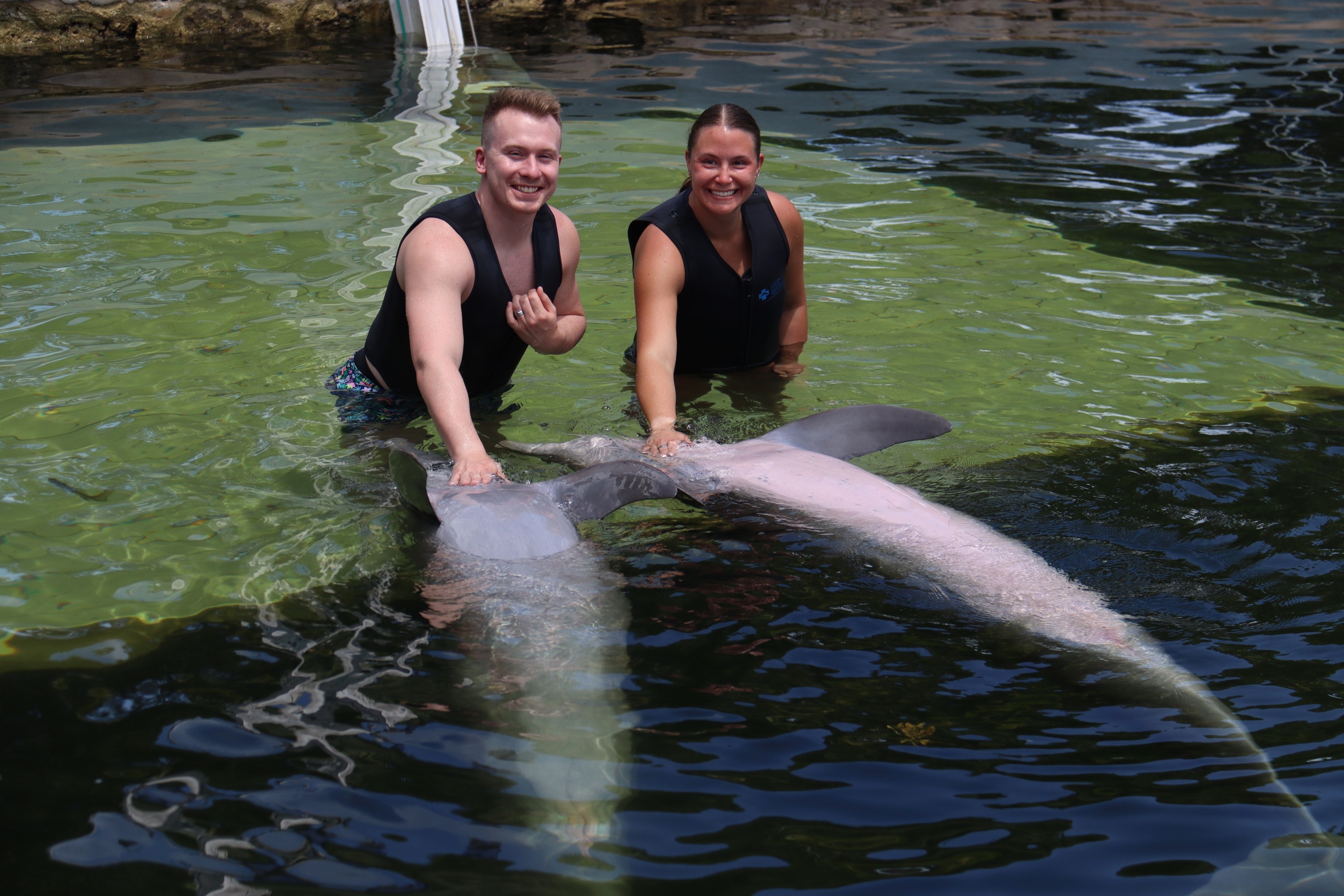 Dolphin Life Encounter — Key Largo