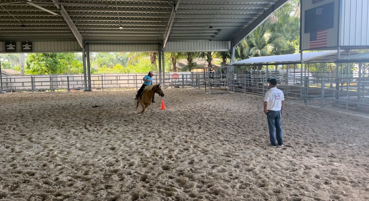 Equine-Assisted Learning — Miami