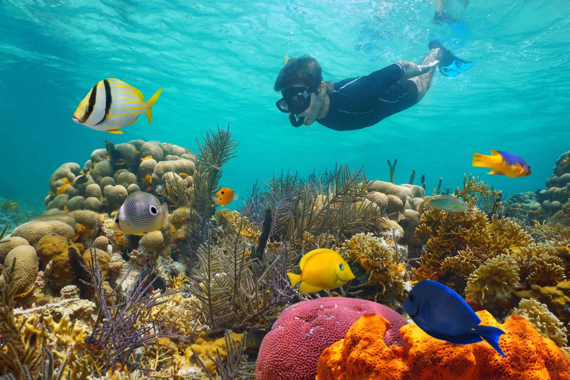 Miami: Key West Day Trip with Snorkeling & Open Bar — Miami Beach