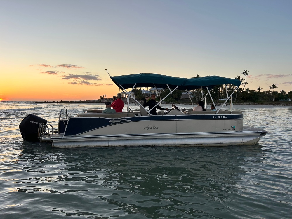 Keewaydin Island Shelling, Dolphin and  Beach Experience (Combo)