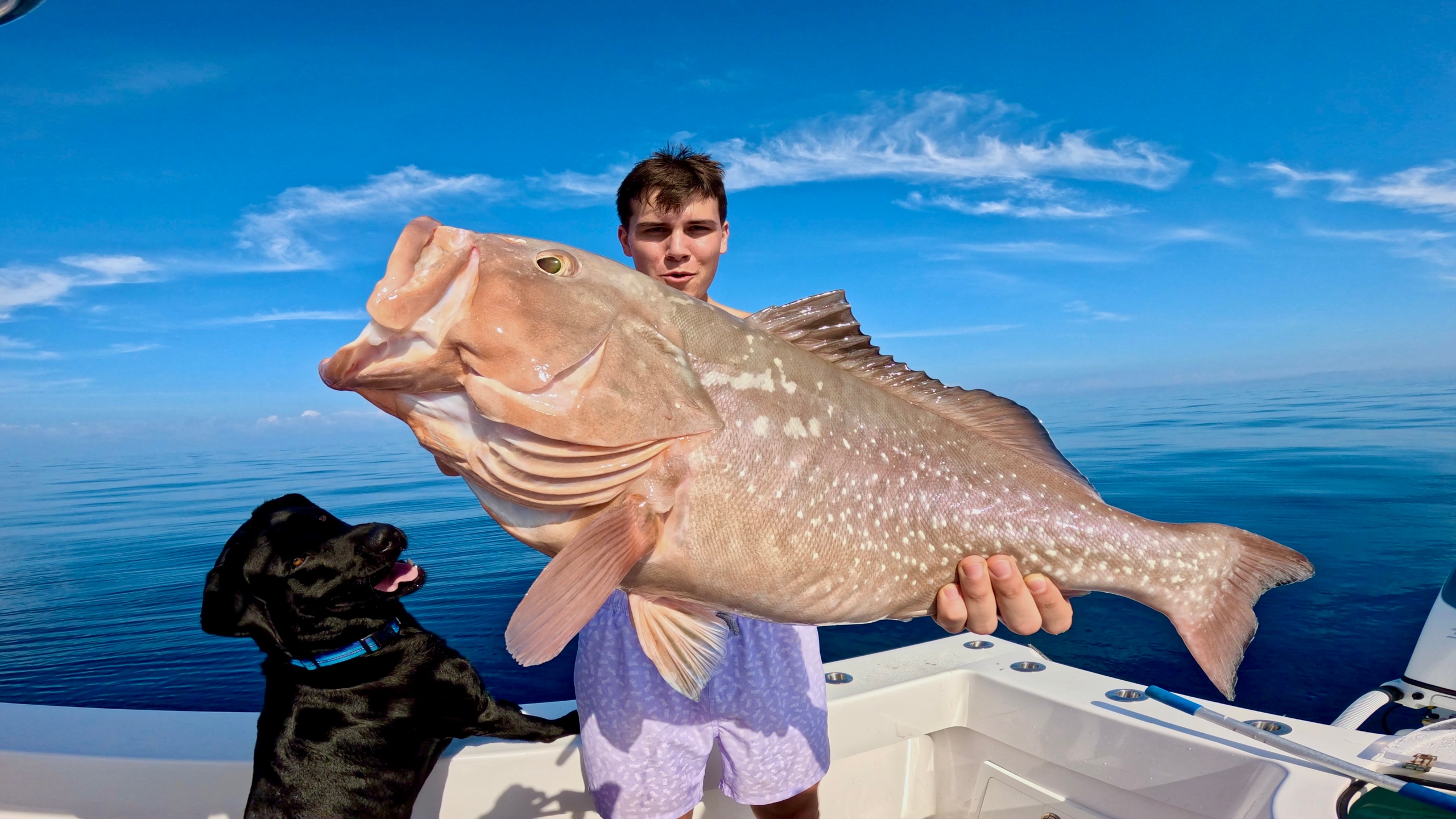 Eight Hour Trip — Naples