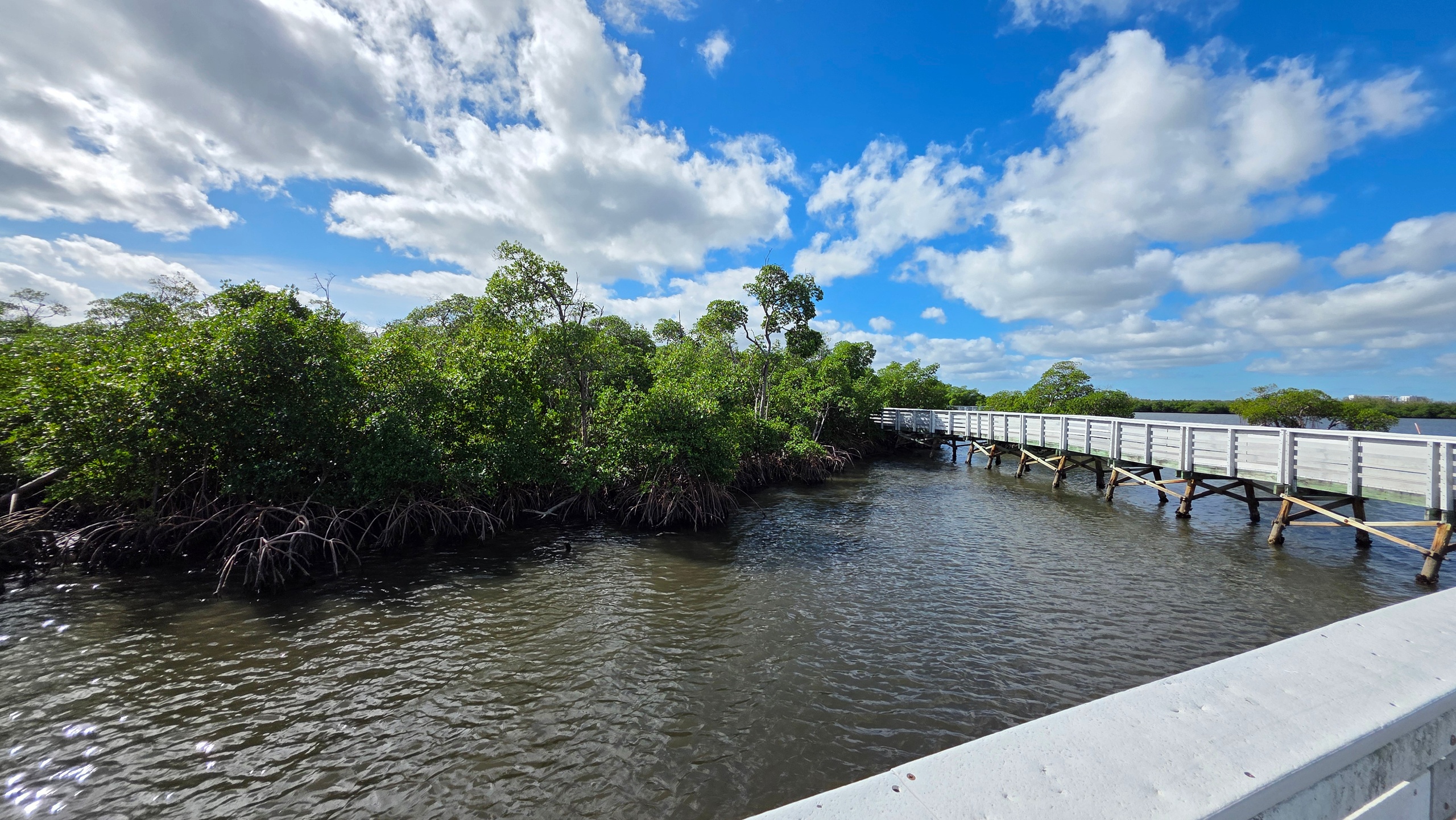 Wildlife Nature Cruise - 2.5 HR Eco Tour Anne Kolb State Park — Fort Lauderdale