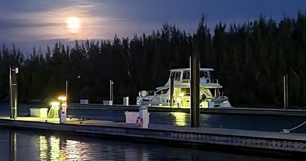 4 Hour Private Charter - Andiamo — Key West
