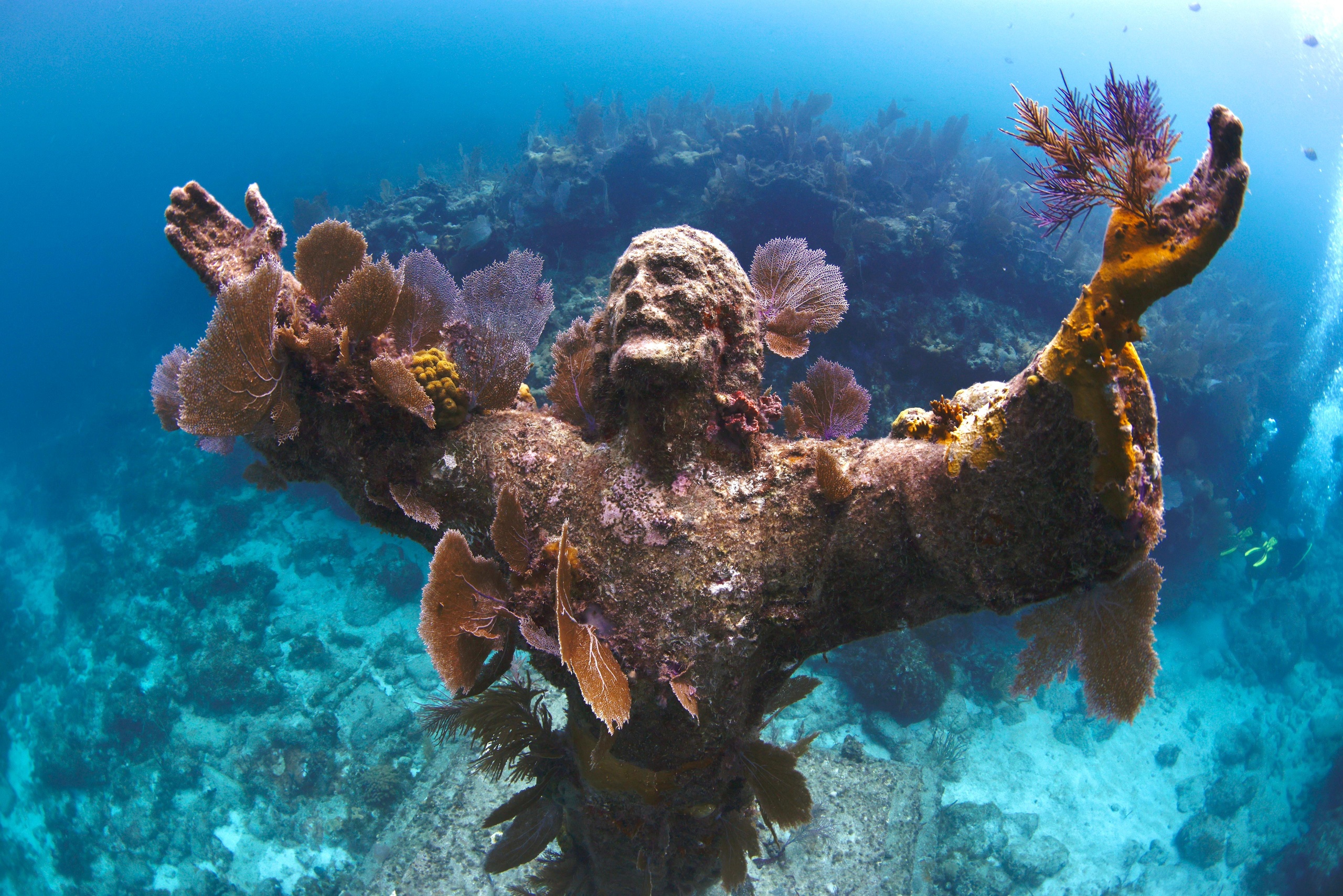 KEY LARGO ICONS AND SECRETS SNORKEL ADVENTURE - Visit 3 Locations! — Key Largo