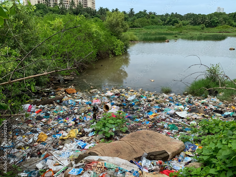 Clean-Up Paddle — North Miami Beach