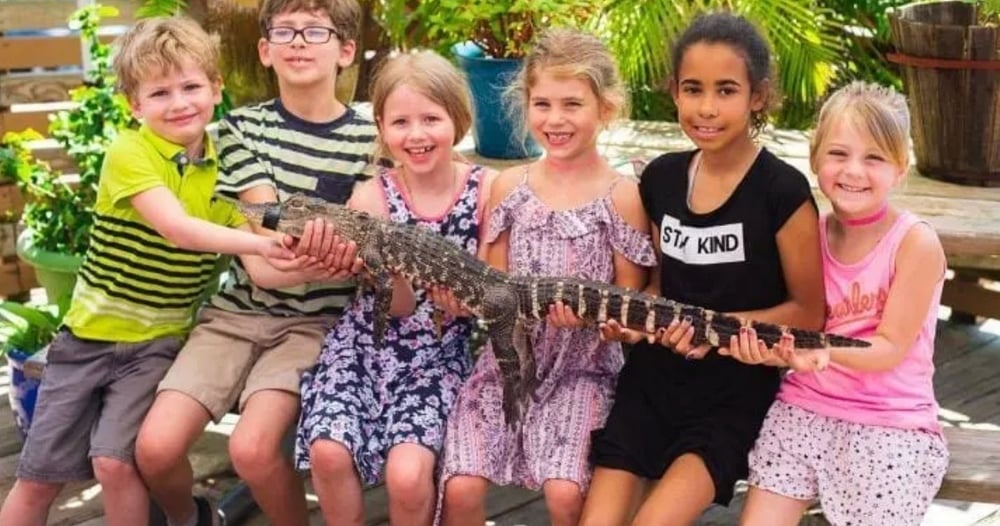Animal Encounters - Groupon