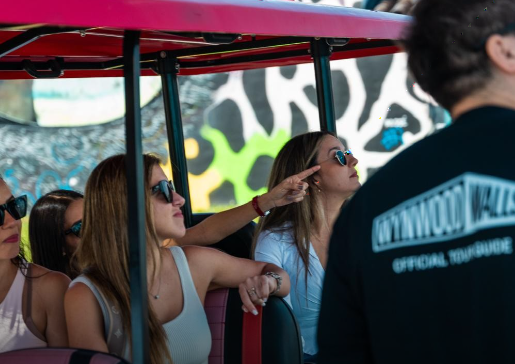 VIP Wynwood Art & Little Havana Culture Tour! — Miami